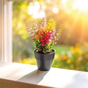 Bitki Yetiştirme Seti ( 6,5 x 4,2 x 6 cm )